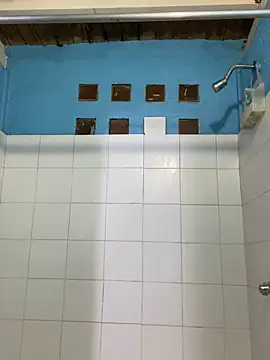 meliodas 23cm online show from 12/17/25, 02:16