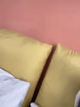 Aurinia online show from 11/04/25, 08:18