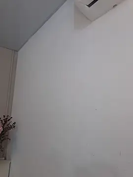 annie  20 online show from 11/29/25, 12:05