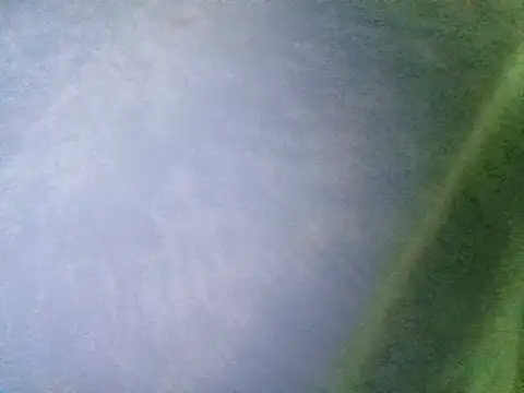 Ramzes1992Analog online show from 11/05/25, 12:58