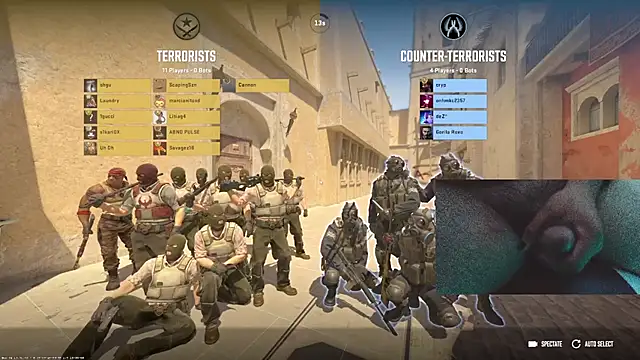 PixelPlaymate online show from 11/10/25, 12:04