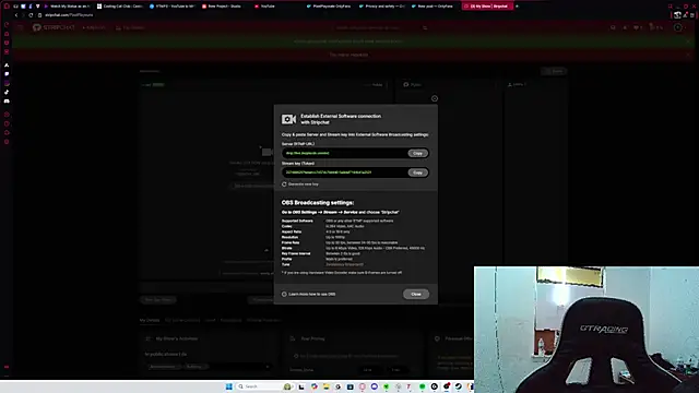 PixelPlaymate online show from 11/05/25, 02:03