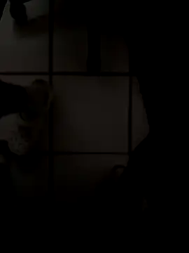 drpapi1942 online show from 11/10/25, 06:02