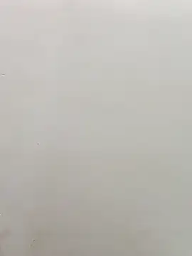 sanjana077 online show from 03/03/26, 01:23