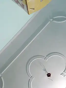 sanjana077 online show from 11/27/25, 06:14