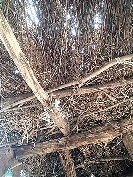 Chinki pande online show from 12/01/25, 07:09