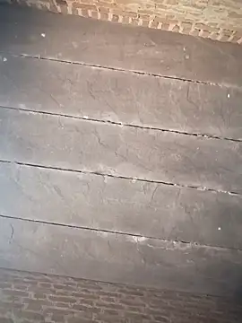 Chinki pande online show from 11/15/25, 06:06