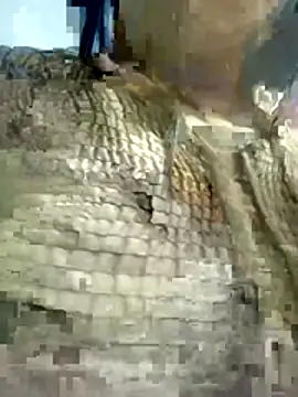 Snapshot of Nishi-3 chatting on 01/17/26, 12:31 Nishi-3 online show from 01/17/26, 12:31