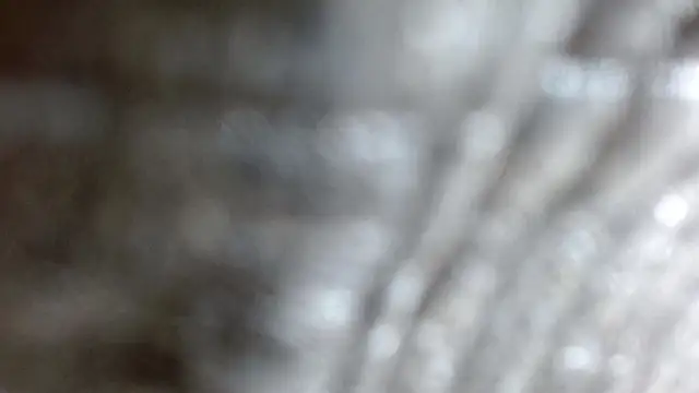 Snapshot of the_breasts_of_desir_ chatting on 11/24/25, 07:25 the breasts of desir online show from 11/24/25, 07:25