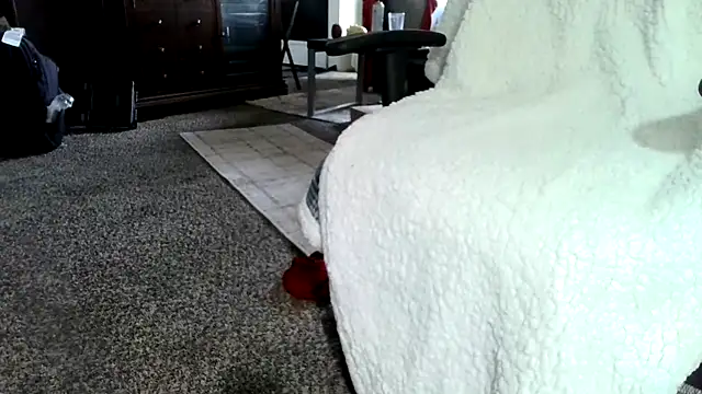 wagleman online show from 03/19/26, 07:58