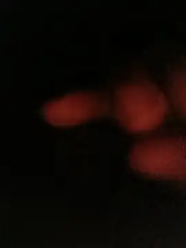 bruno 324278 online show from 05/10/26, 04:05
