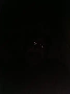 bruno 324278 online show from 05/28/26, 02:52