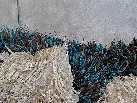 Snapshot of LannyShell chatting on 11/26/25, 05:24 LannyShell online show from 11/26/25, 05:24