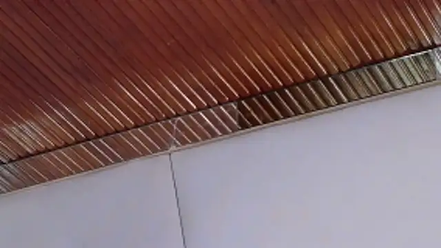 Snapshot of LannyShell chatting on 02/26/26, 05:24 LannyShell online show from 02/26/26, 05:24