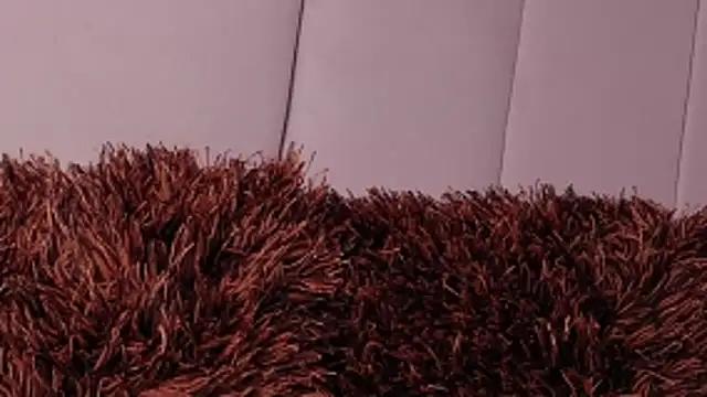 LannyShell online show from 03/26/26, 05:00