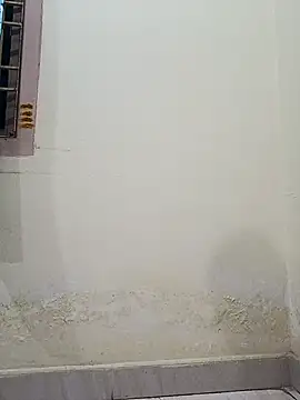 siritelugubutterfly online show from 12/20/25, 04:21