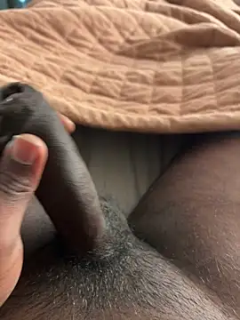 newboy02 online show from 02/28/26, 10:48