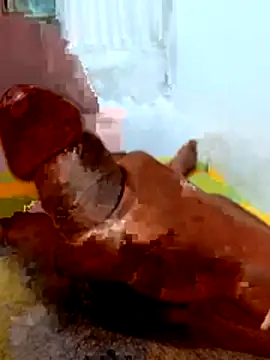 crazy boy55 online show from 02/13/26, 05:35