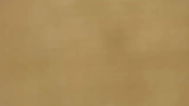 quenn-squirtanal online show from 03/26/26, 04:38