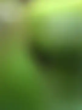 Lynly k2 online show from 02/13/26, 05:29