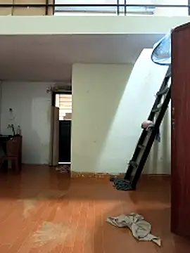 Lynly k2 online show from 03/11/26, 01:10