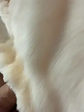 Kyser91 online show from 03/16/26, 11:07