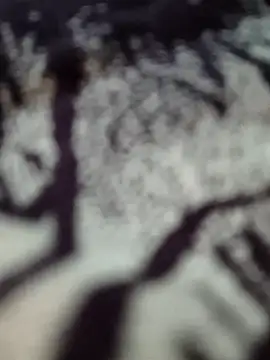 butterflydoll55sexolina online show from 11/17/25, 12:36