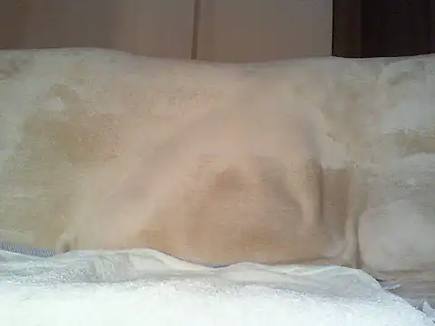 Snapshot of Cumlover5534 chatting on 03/02/26, 09:38 Cumlover5534 online show from 03/02/26, 09:38