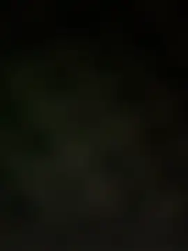 trickydickydaddy online show from 03/13/26, 07:57