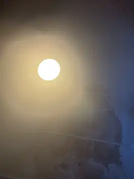 trickydickydaddy online show from 05/15/26, 03:37