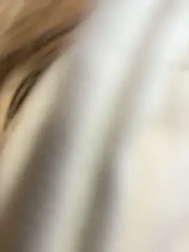 SashaCatt online show from 02/23/26, 08:15