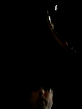 throbbbyxh online show from 12/22/25, 02:22