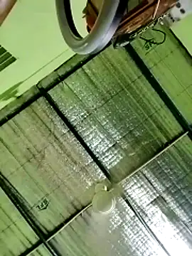 Keya-009 online show from 03/20/26, 09:54