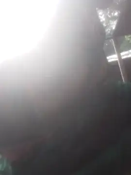 jacka 305 online show from 11/24/25, 04:01