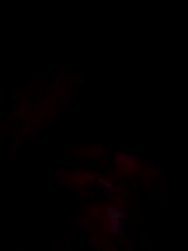 jacka 305 online show from 12/01/25, 08:32