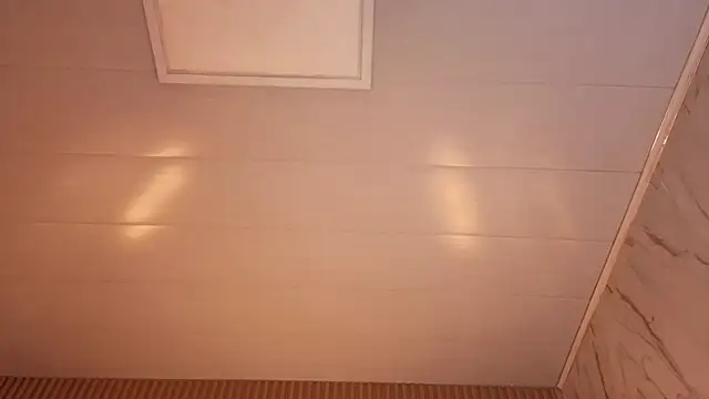 venus velvet tp online show from 01/05/26, 05:27