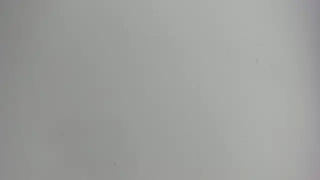 Sara connor01 online show from 03/12/26, 02:54