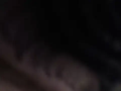 dayan hanks online show from 12/19/25, 09:06