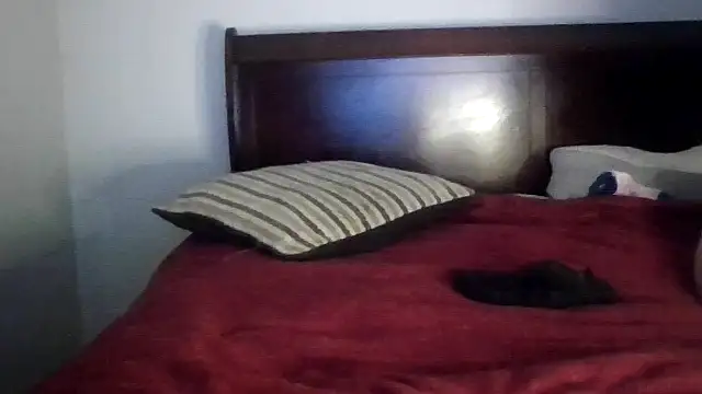 Dusaa  online show from 12/17/25, 08:36