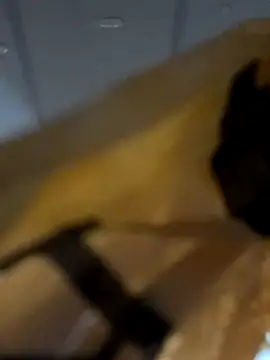 Snapshot of kingkumarN67 chatting on 11/10/25, 05:23 kingkumarN67 online show from 11/10/25, 05:23