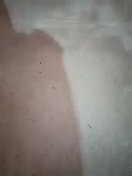 blonde blg online show from 12/20/25, 12:46