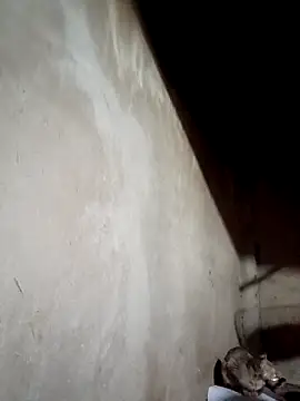 blonde blg online show from 03/17/26, 04:48