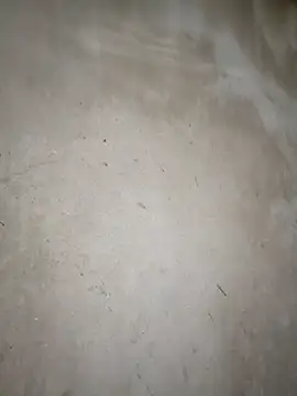 blonde blg online show from 03/14/26, 11:33