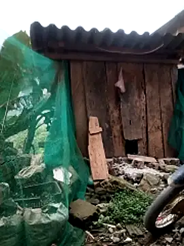 blonde blg online show from 03/26/26, 11:24