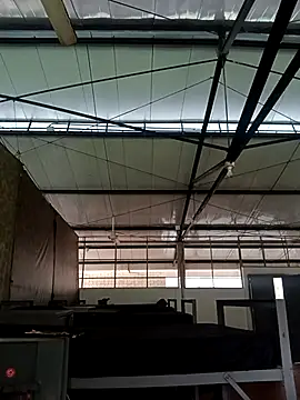 Snapshot of MonasticCanine chatting on 11/26/25, 11:32 MonasticCanine online show from 11/26/25, 11:32