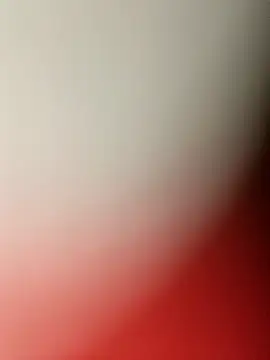 Snapshot of MonasticCanine chatting on 12/22/25, 01:06 MonasticCanine online show from 12/22/25, 01:06