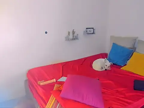 hotcassy online show from 02/25/26, 09:58