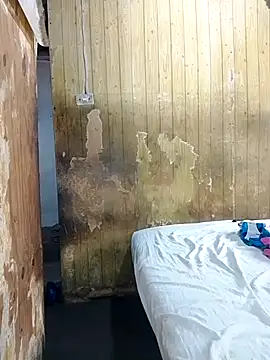 Alana phs online show from 11/25/25, 02:06