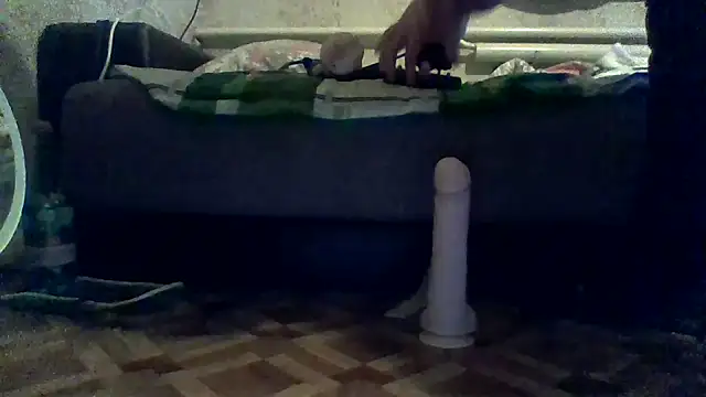 antosha555 online show from 11/15/25, 09:30