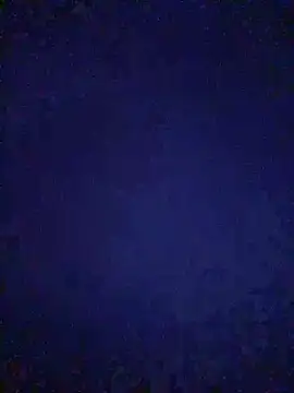 Dona Mafia online show from 04/14/26, 10:53